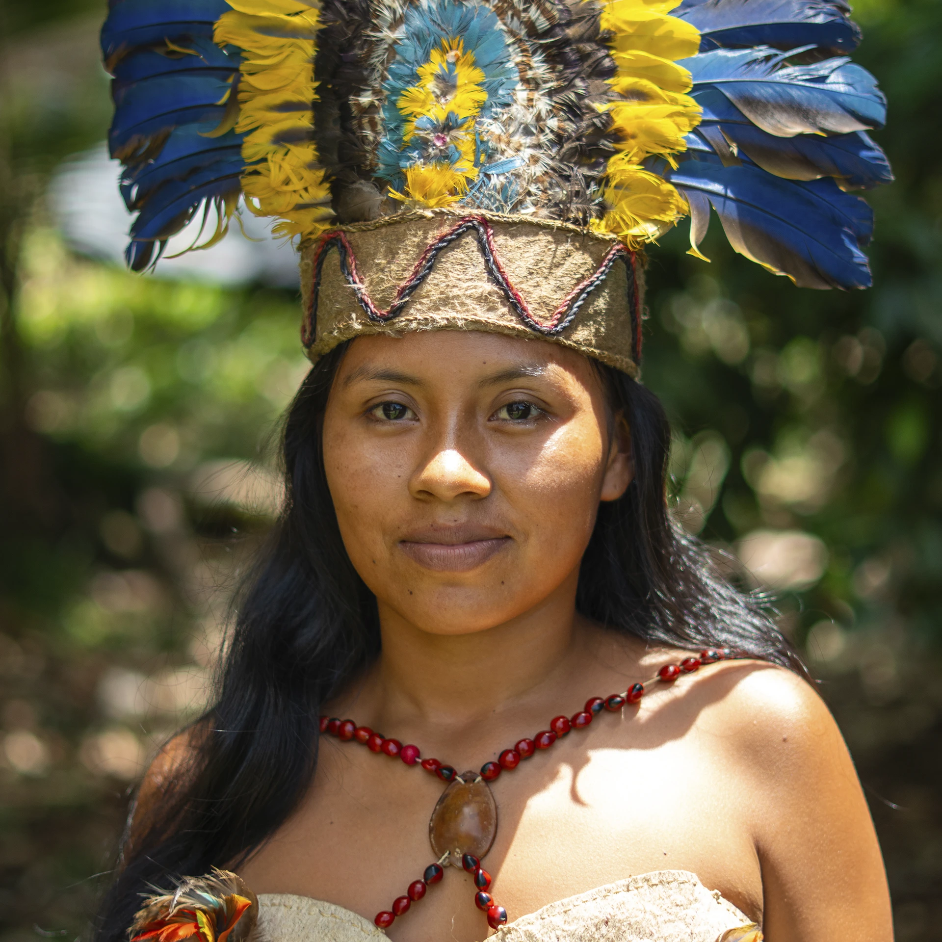 Comunidades Indigenas